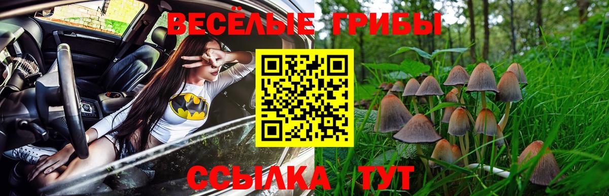 Псилоцибиновые грибы Cubensis Чистополь