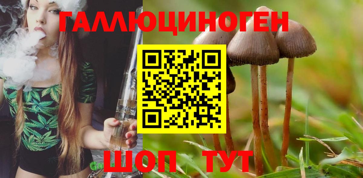 Псилоцибиновые грибы Magic Shrooms  Вход с VPN  Чистополь 